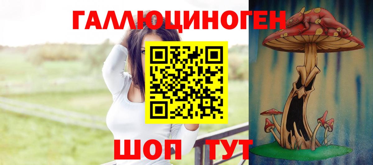 Псилоцибиновые грибы Psilocybine cubensis Асбест